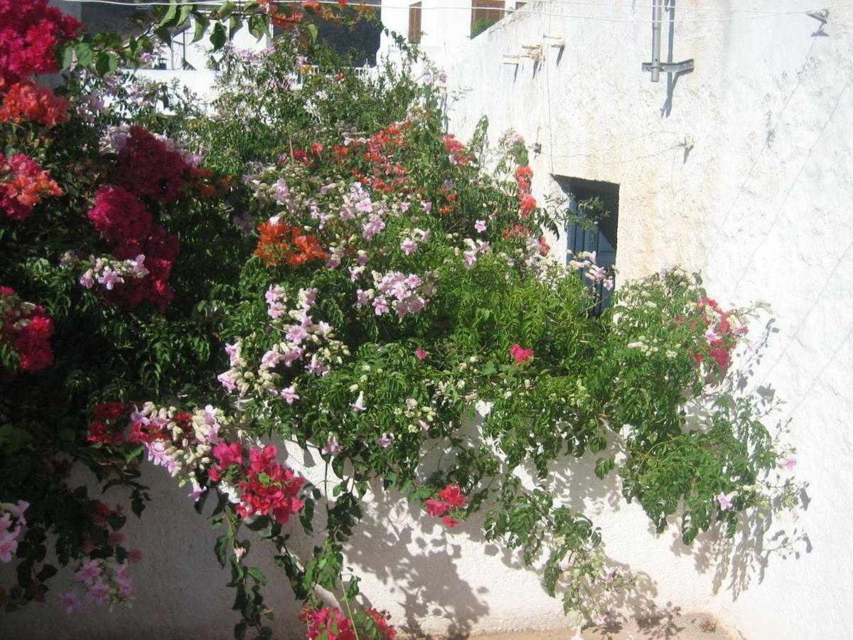 Casa De La Buganvilla Rodalquilar Kültér fotó